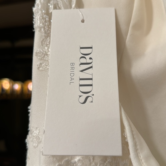 David’s Bridal Wedding Gown - Ivory size 14 - only tried on not worn or altered - Picture 13 of 14